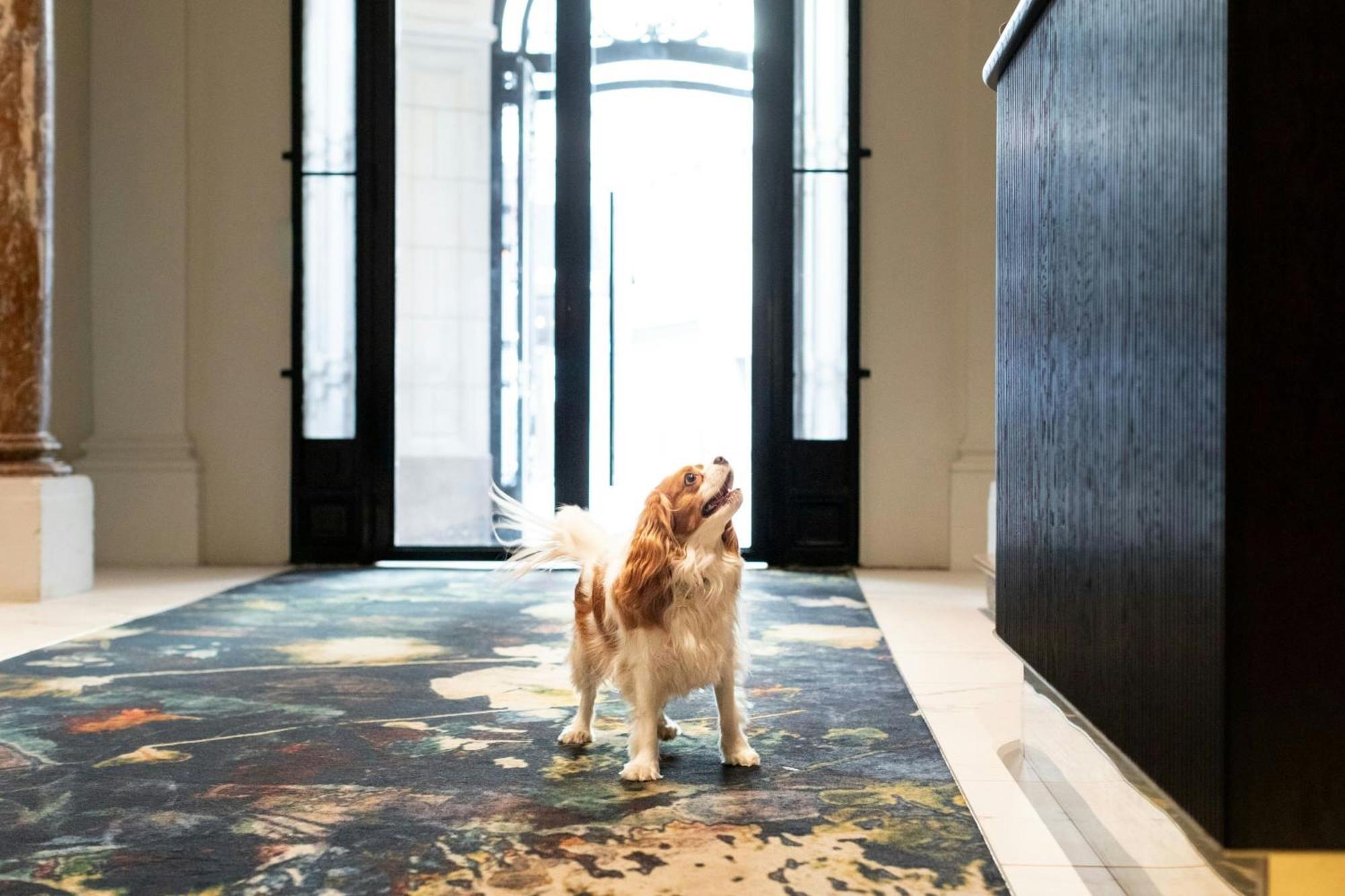 Sapphire House Antwerp, Autograph Collection By Marriott Hotell Eksteriør bilde
